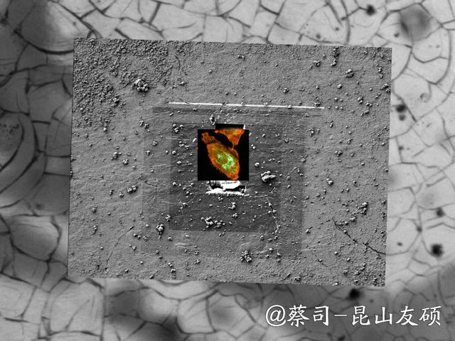 通化通化蔡司通化扫描电镜