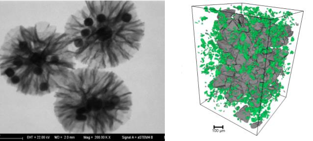通化通化蔡司通化扫描电镜